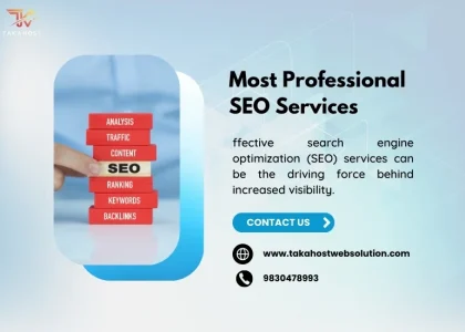 Hiring the Most Professional SEO Services for Your Website